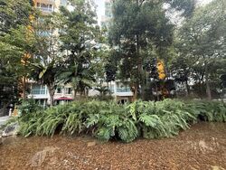Savannah Condopark (D18), Condominium #465328191